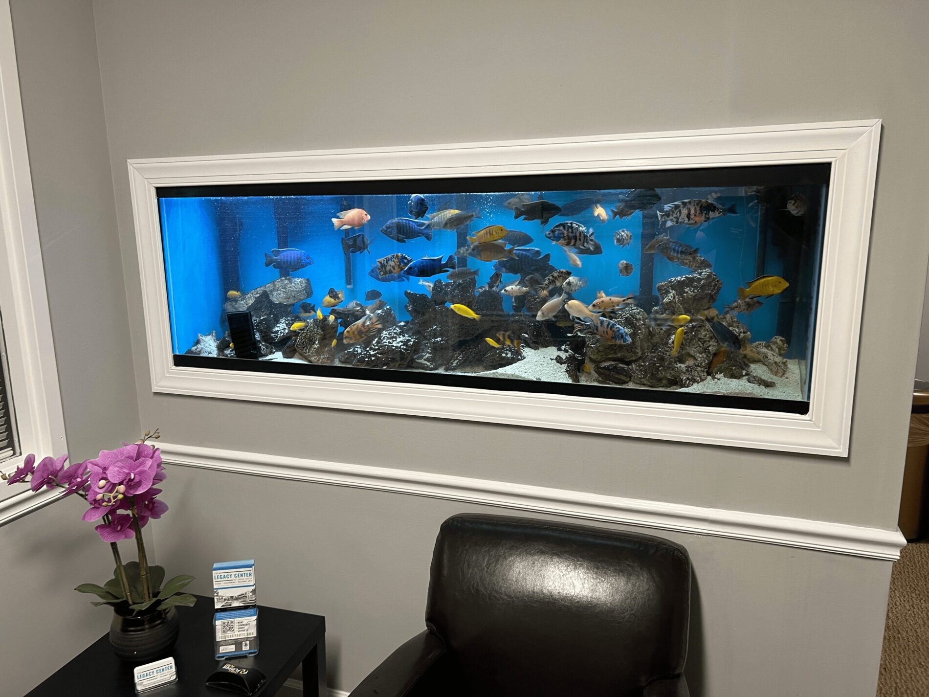Planted freshwater aquascape