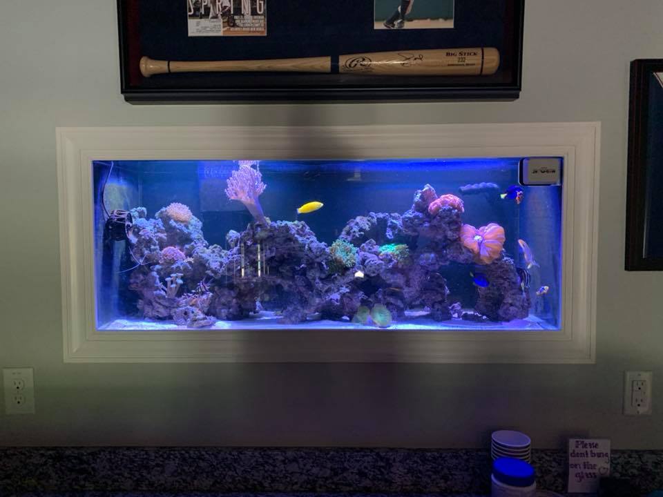 Custom tank installation