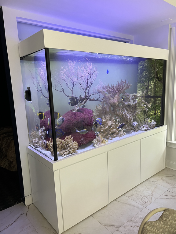 Reef tank in modern white cabinet