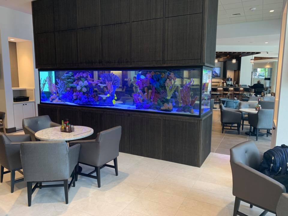 Custom aquarium design — reef system